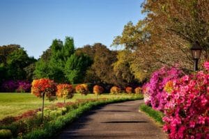 Decoração Criativa para o Jardim