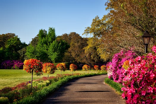 A scenic outdoor garden with vibrant floral displays, perfect for backgrounds or wallpapers. Jardim.