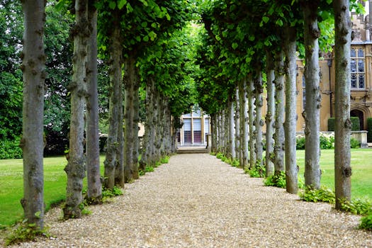 Peaceful garden walkway with trees leading to a historic building. Jardim
