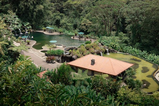 Explore a tranquil tropical resort with a serene pool area embedded in lush greenery. Perfect for relaxing escapes. oásis verde e amarelo.