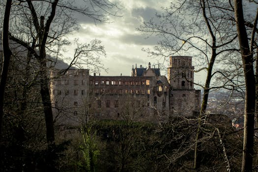 A picturesque view of Heidelberg Castle framed by bare trees in winter, capturing its historic charm. casa sustentável.