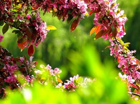 Bright pink flowers blooming in a lush spring garden with vibrant green foliage. Jardim.