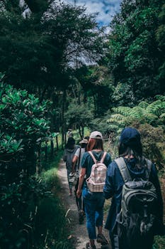 Women hiking along a scenic forest trail, enjoying nature and exploration. Trip, Viagem.