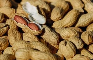 nuts, peanuts, roasted, snacks, healthy, delicious, roasted peanuts, peanut shells, shelled nuts, food, food photography, nuts, nuts, peanuts, peanuts, peanuts, peanuts, peanuts, peanut food, comida.