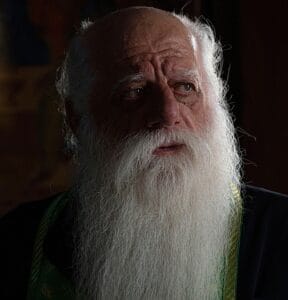 man, beard, portrait, male, boy, Beard health, saúde, barba. pele, saúde, 